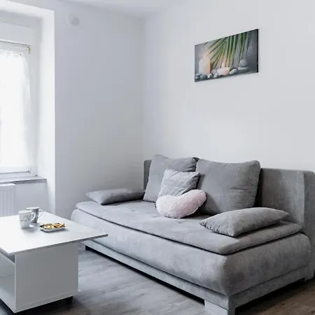 Comfort Basel Airport 1b46 Appartement