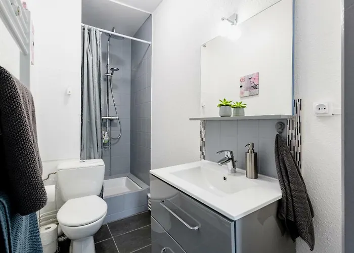 Comfort Basel Airport 1b46 *