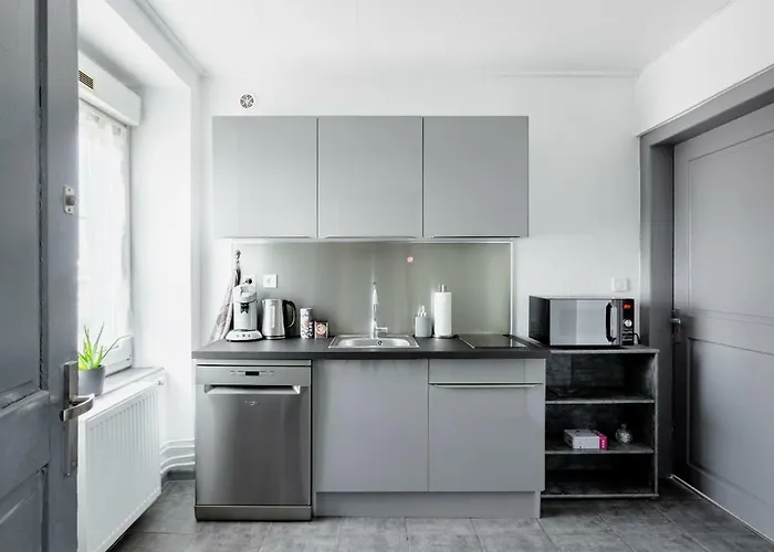 Comfort Basel Airport 1b46 Saint-Louis (Haut-Rhin)